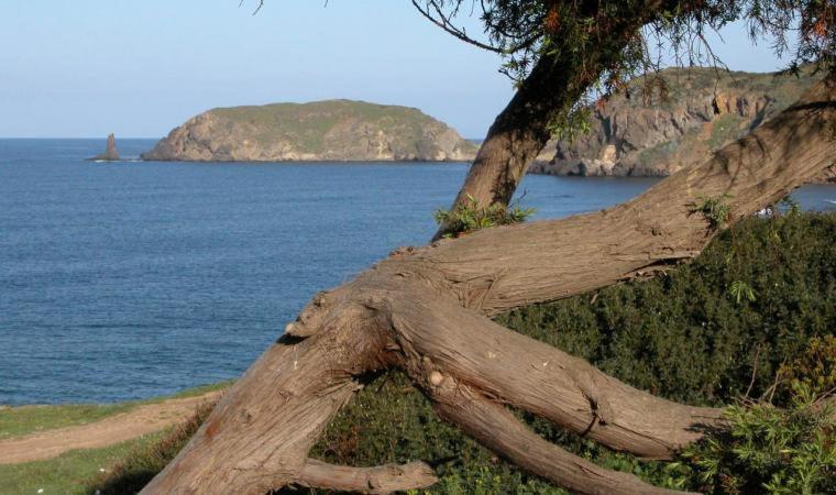 Appartamento In Casa Con Cortili Ad Arbus - Sardegna ภายนอก รูปภาพ